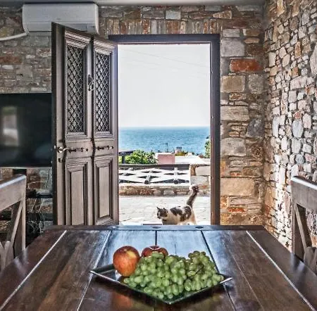 Villa Camellia