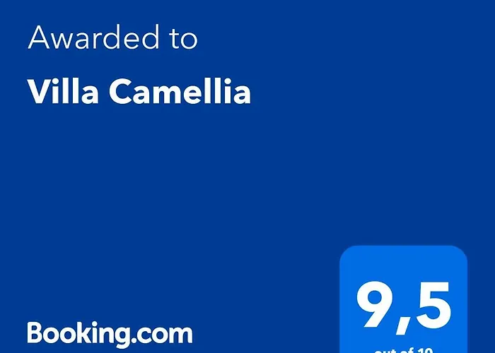 Camellia فيلة Liaropá