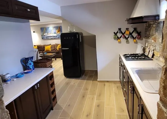 Camellia فيلة Liaropá